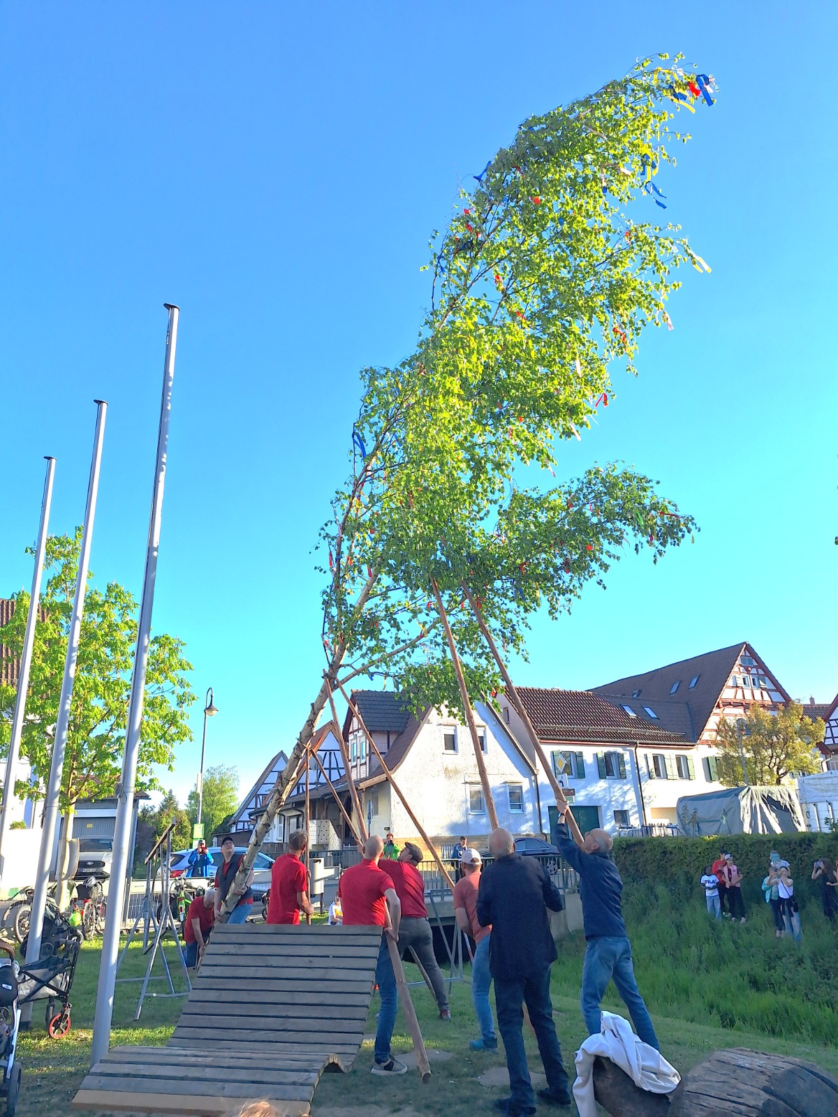 2026.04. Maibaumstellen 02.jpeg